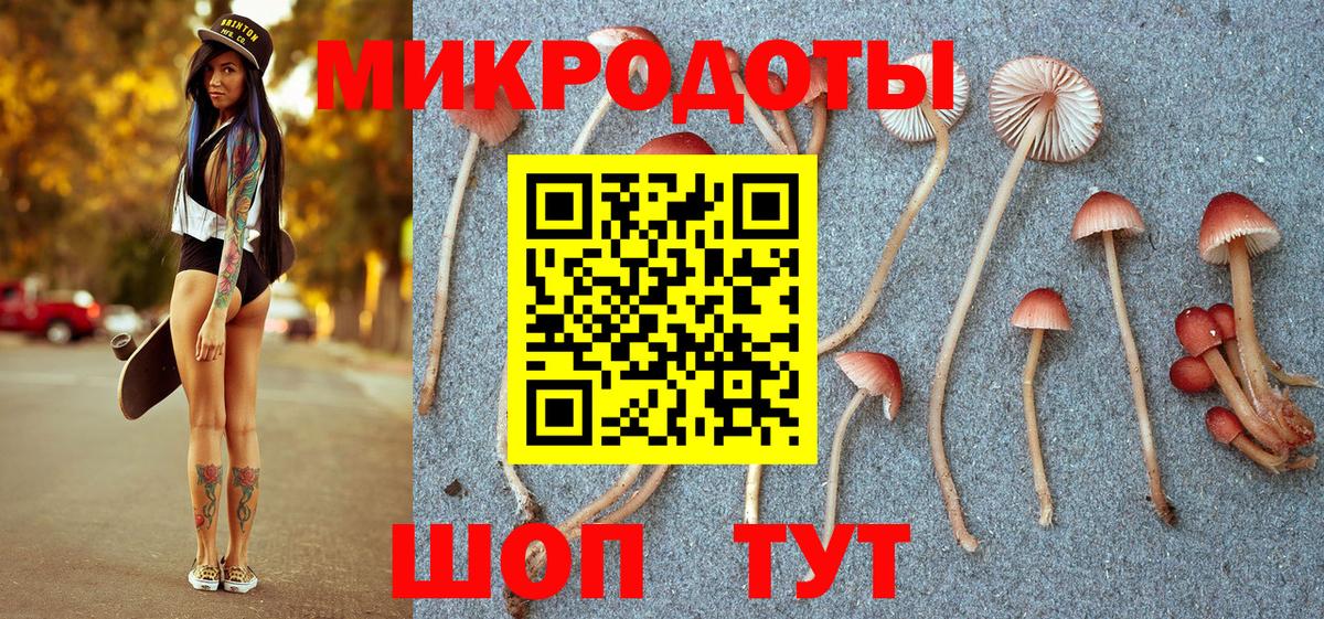 Муром  Псилоцибиновые грибы прущие грибы  Вход с VPN  сколько стоит  Галлюциногенные грибы Psilocybine cubensis 