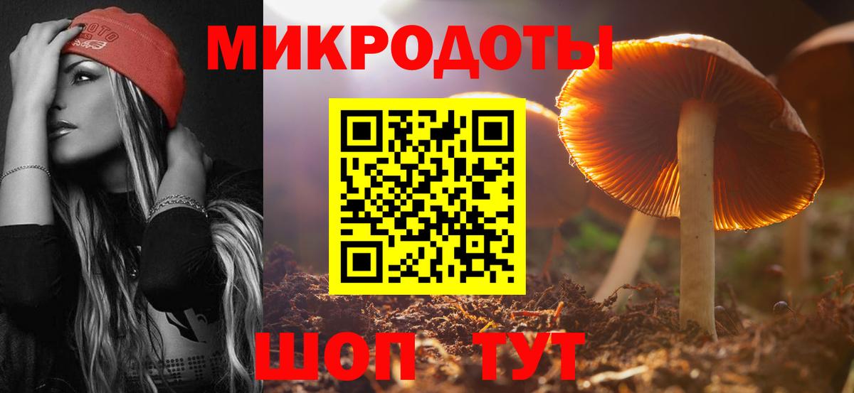 Псилоцибиновые грибы мицелий Муром